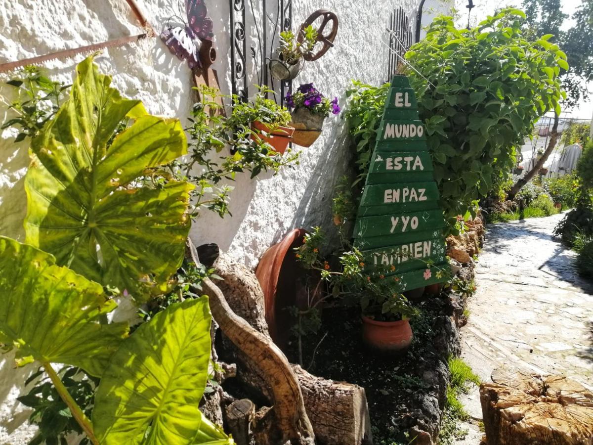 Casa Proyecto Pepe Bravo - Arte De Manos Y Corazon Panzió Alozaina Kültér fotó