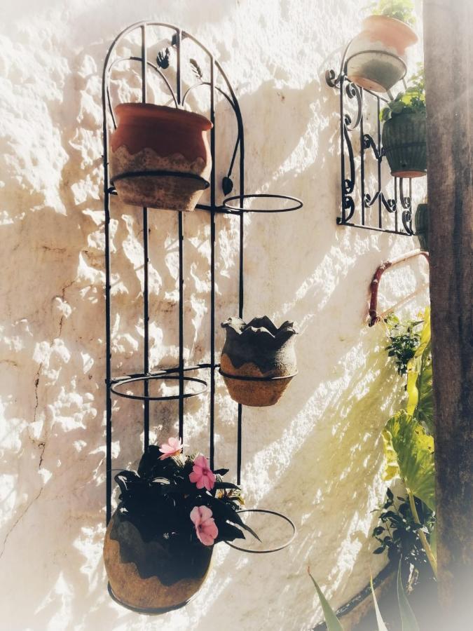 Casa Proyecto Pepe Bravo - Arte De Manos Y Corazon Panzió Alozaina Kültér fotó